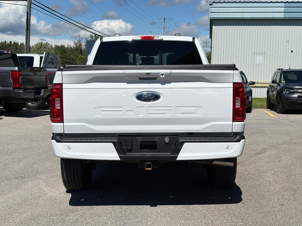 2023 Ford F-150  Photo