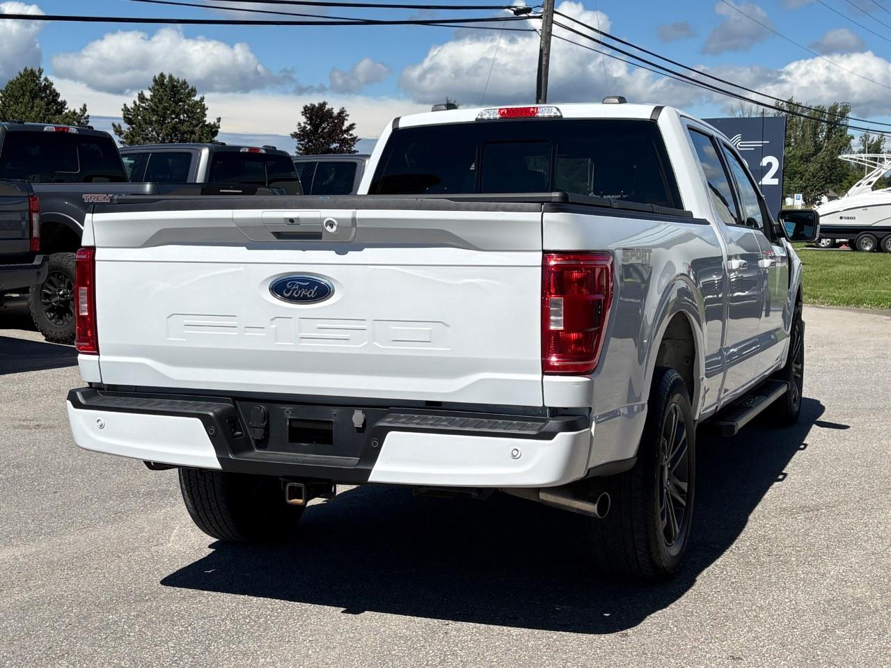 2023 Ford F-150  Photo