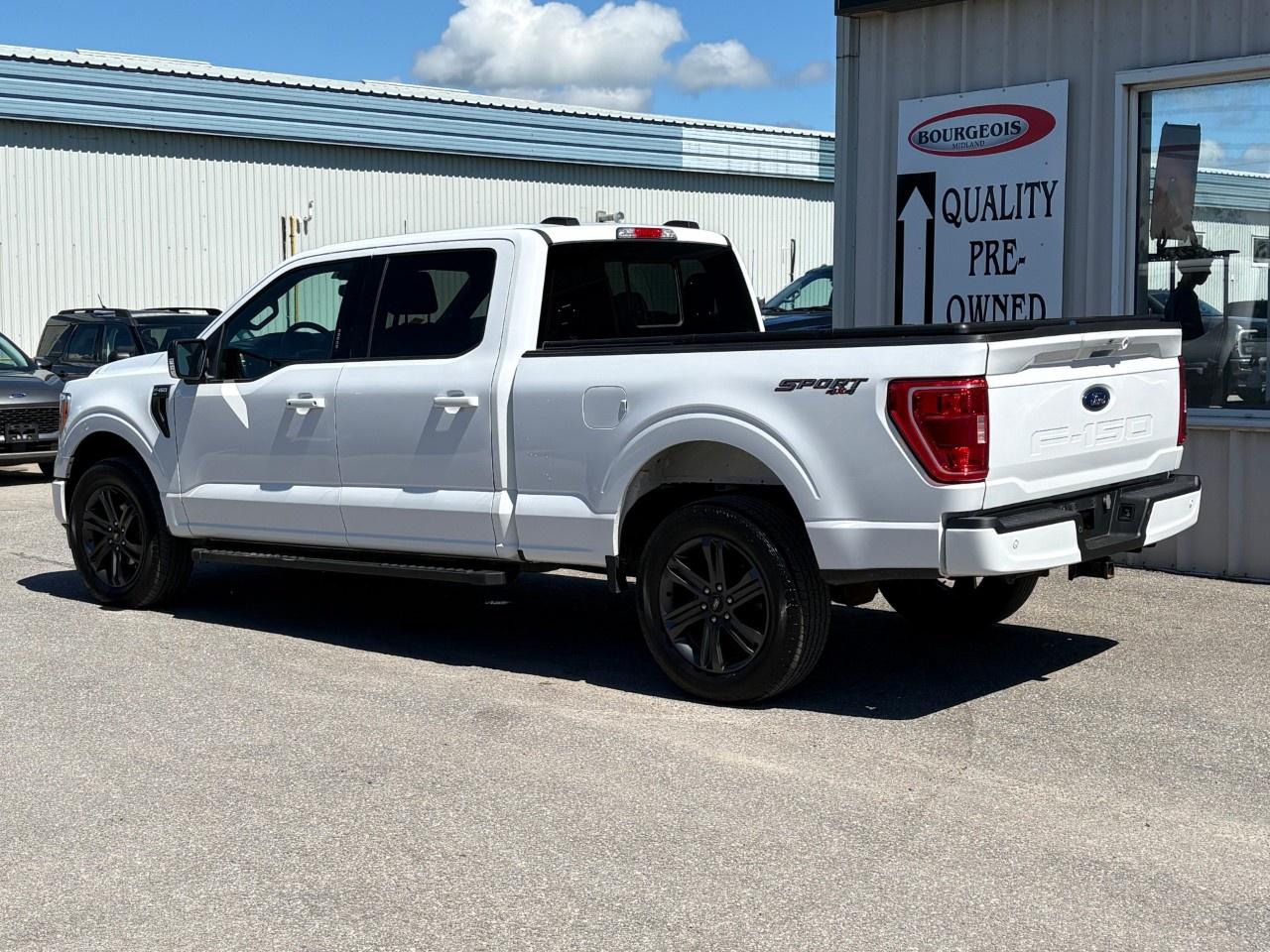 2023 Ford F-150  Photo