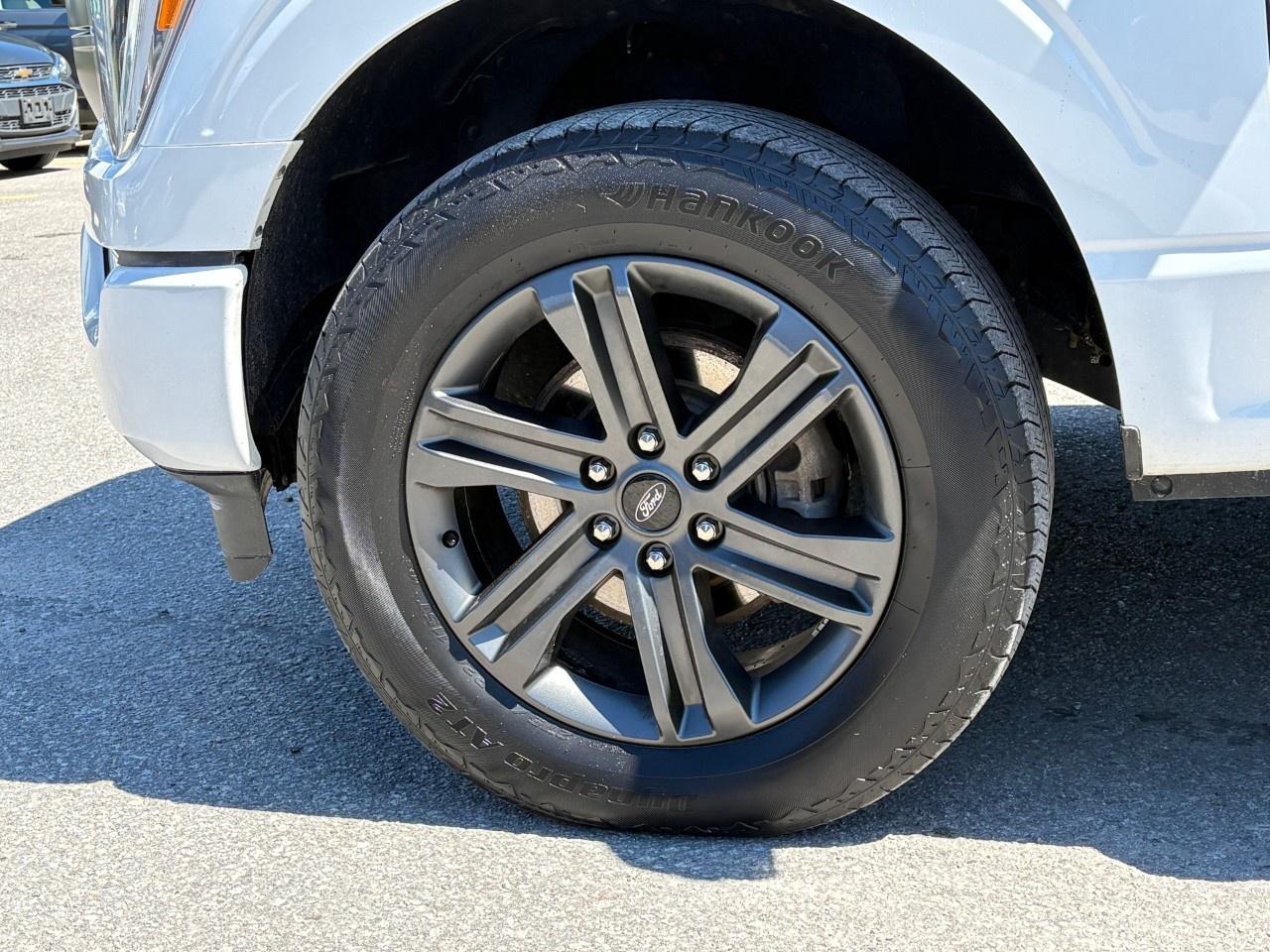 2023 Ford F-150  Photo