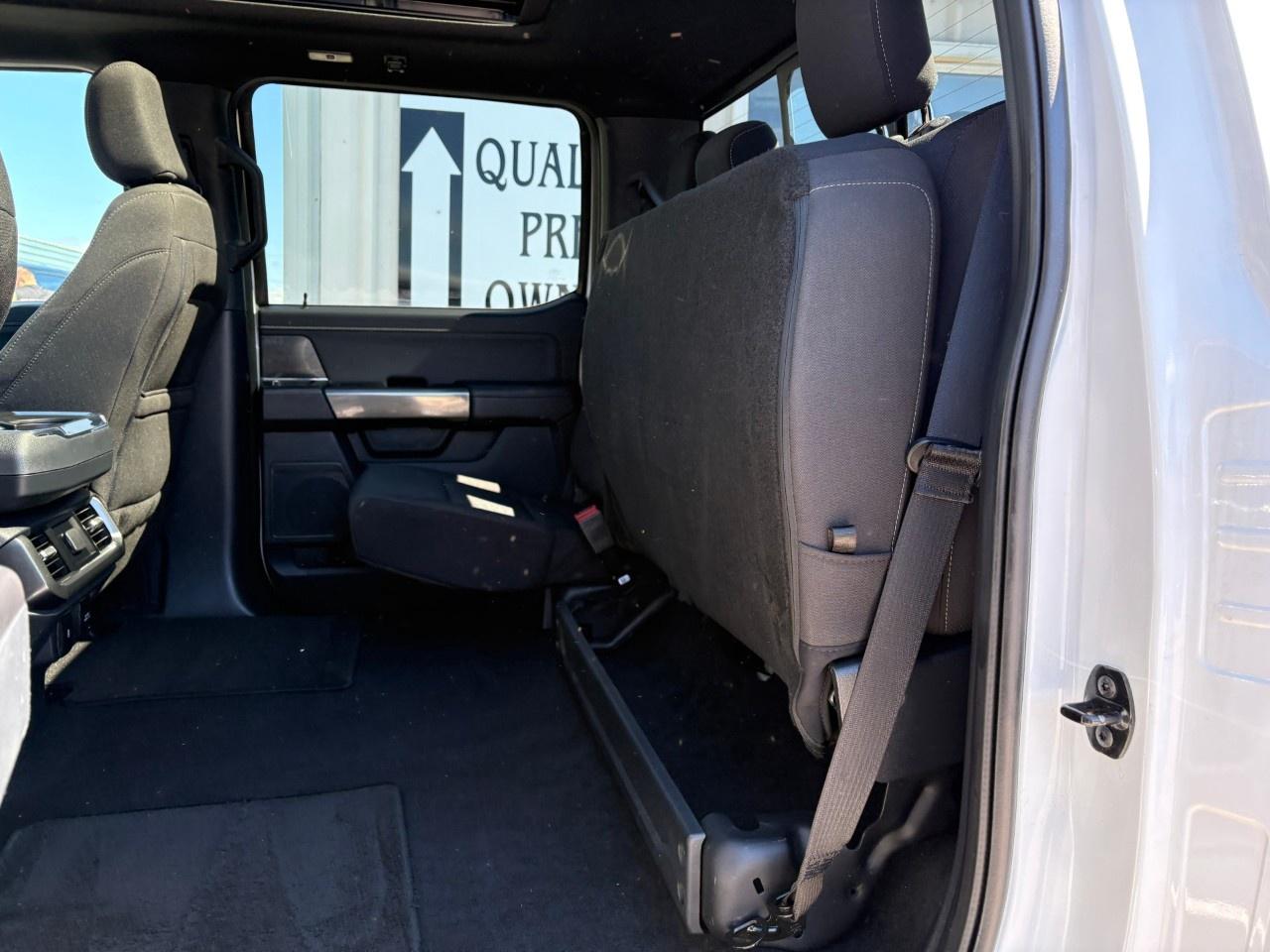 2023 Ford F-150  Photo