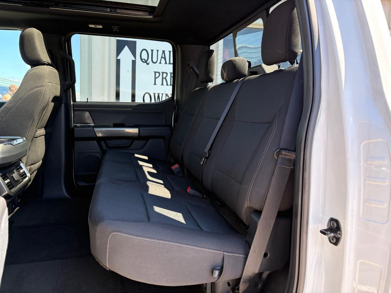2023 Ford F-150  Photo