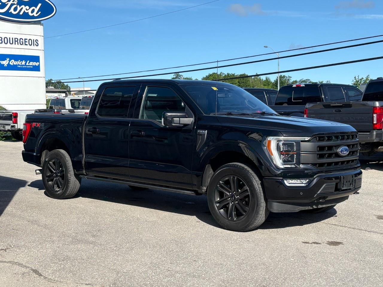 2022 Ford F-150  Photo4
