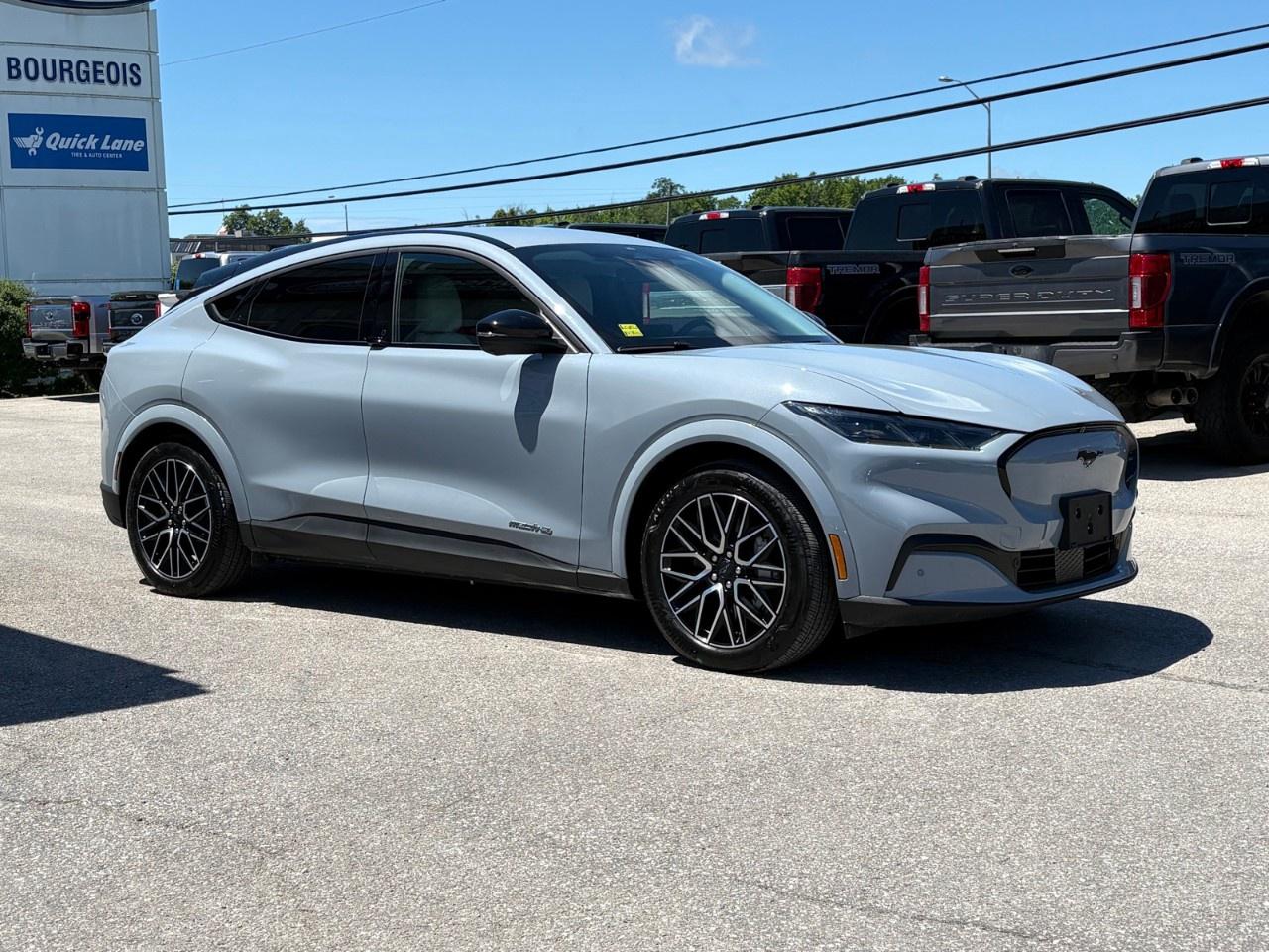 2025 Ford Mustang Mach-E Premium AWD Photo