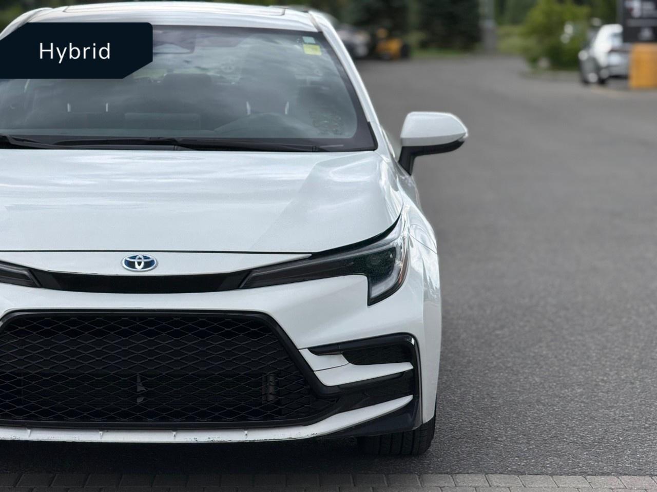 2023 Toyota Corolla Hybrid SE AWD (GS) Photo