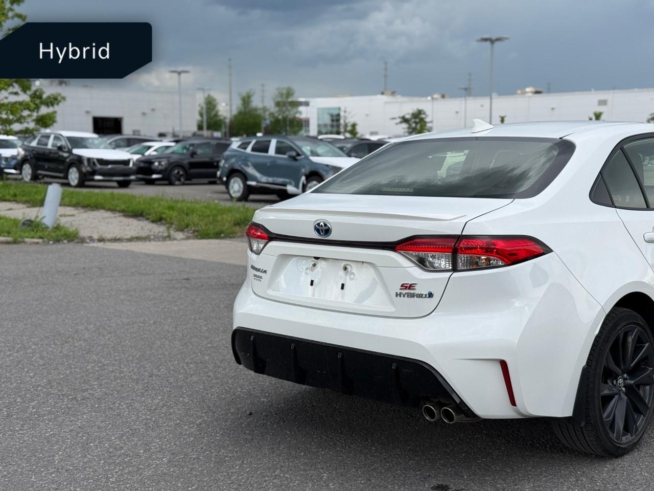 2023 Toyota Corolla Hybrid SE AWD (GS) Photo