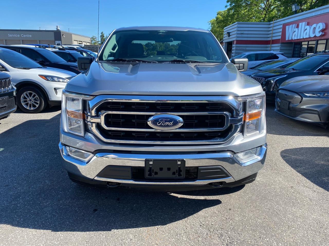 2022 Ford F-150 XLT | SuperCrew | 4x4 | Apple CarPlay | Android Auto Photo
