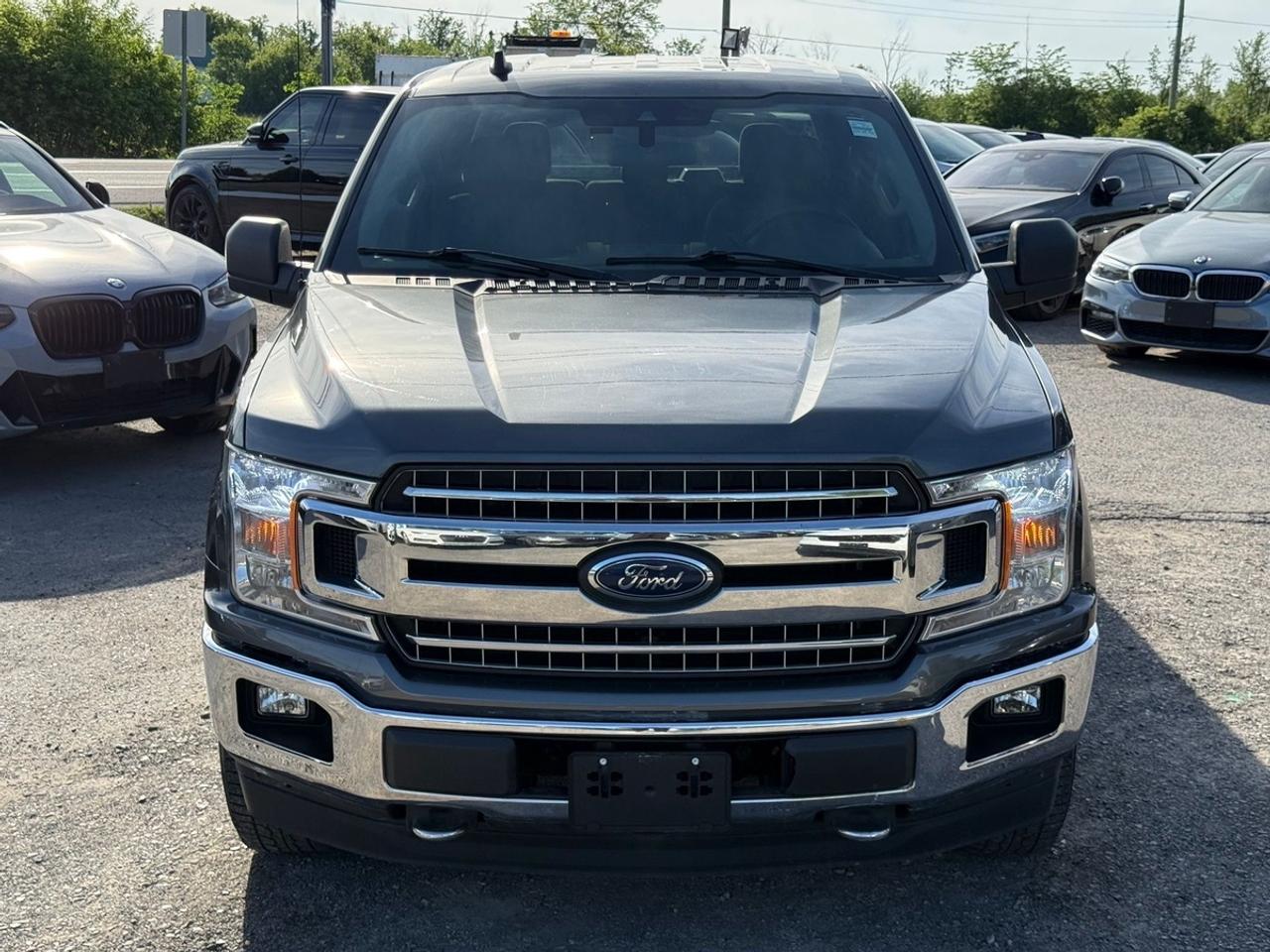 2019 Ford F-150 XLT Photo