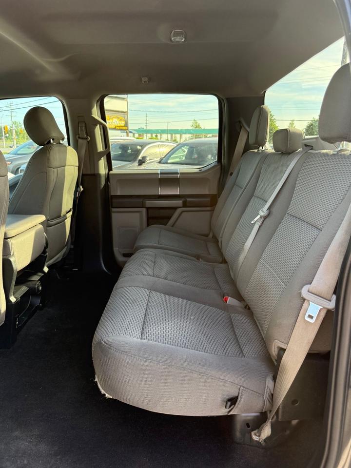 2019 Ford F-150 XLT Photo