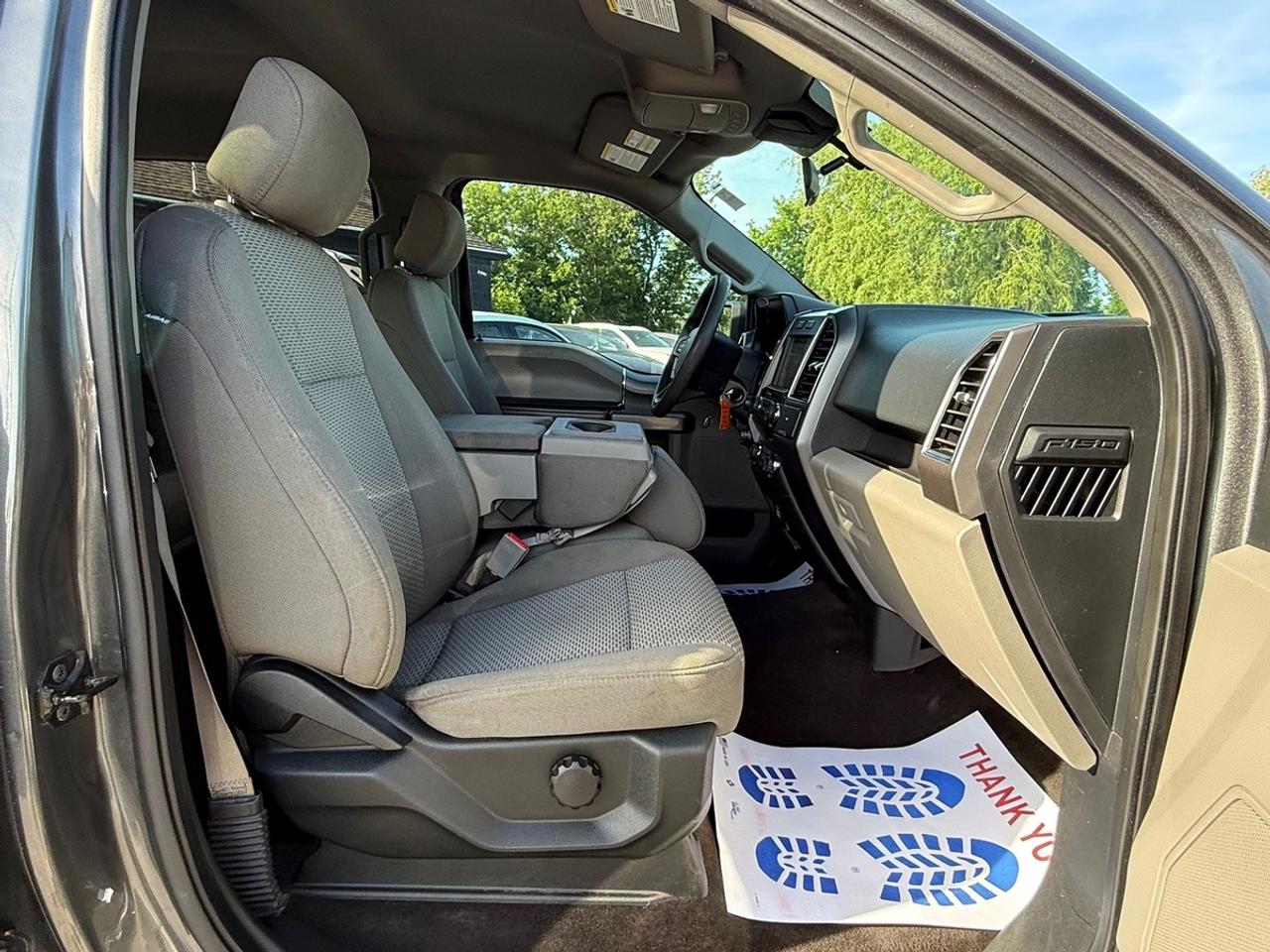 2019 Ford F-150 XLT Photo