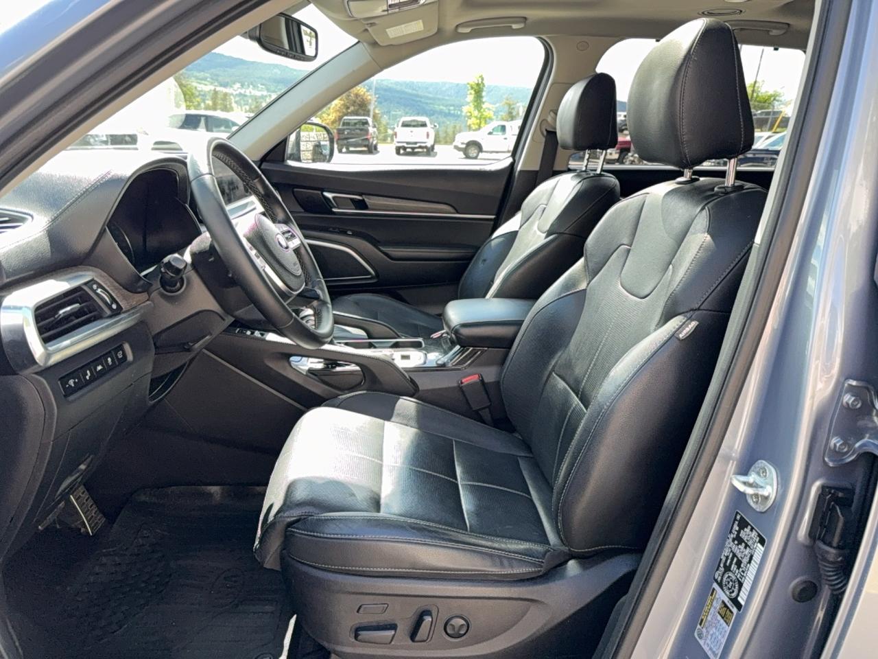 2020 Kia Telluride SX SX Photo