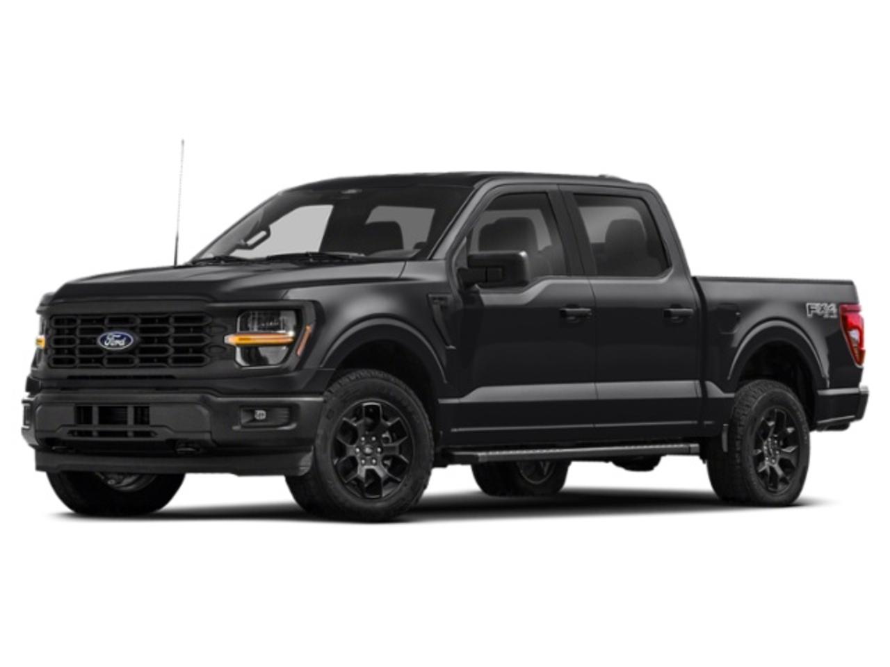 2024 Ford F-150 STX Photo