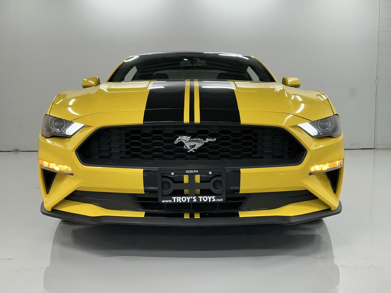 2018 Ford Mustang EcoBoost | LOW KMS | 2.3 L TURBO | BLUETOOTH Photo