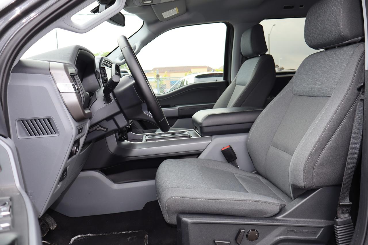 2025 Ford F-150 XLT Photo