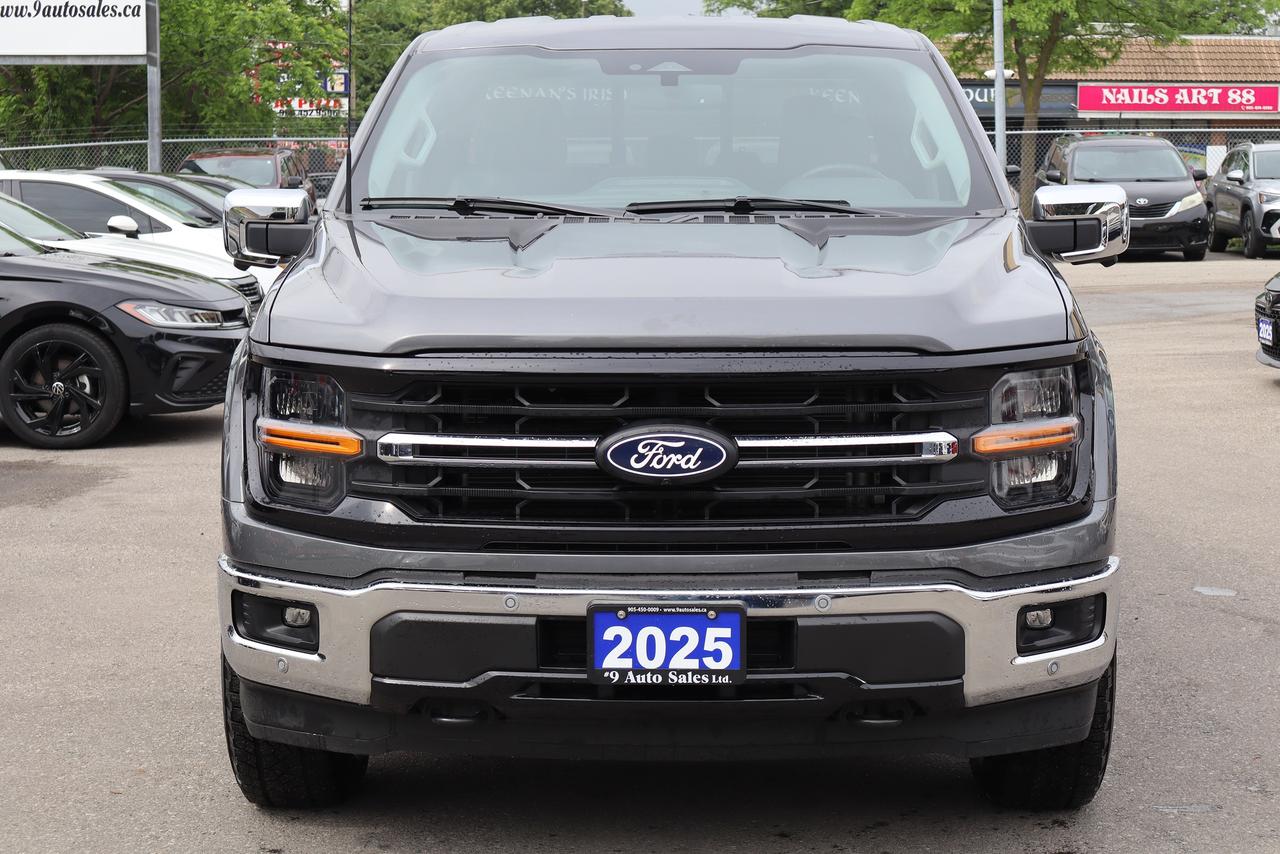 2025 Ford F-150 XLT Photo