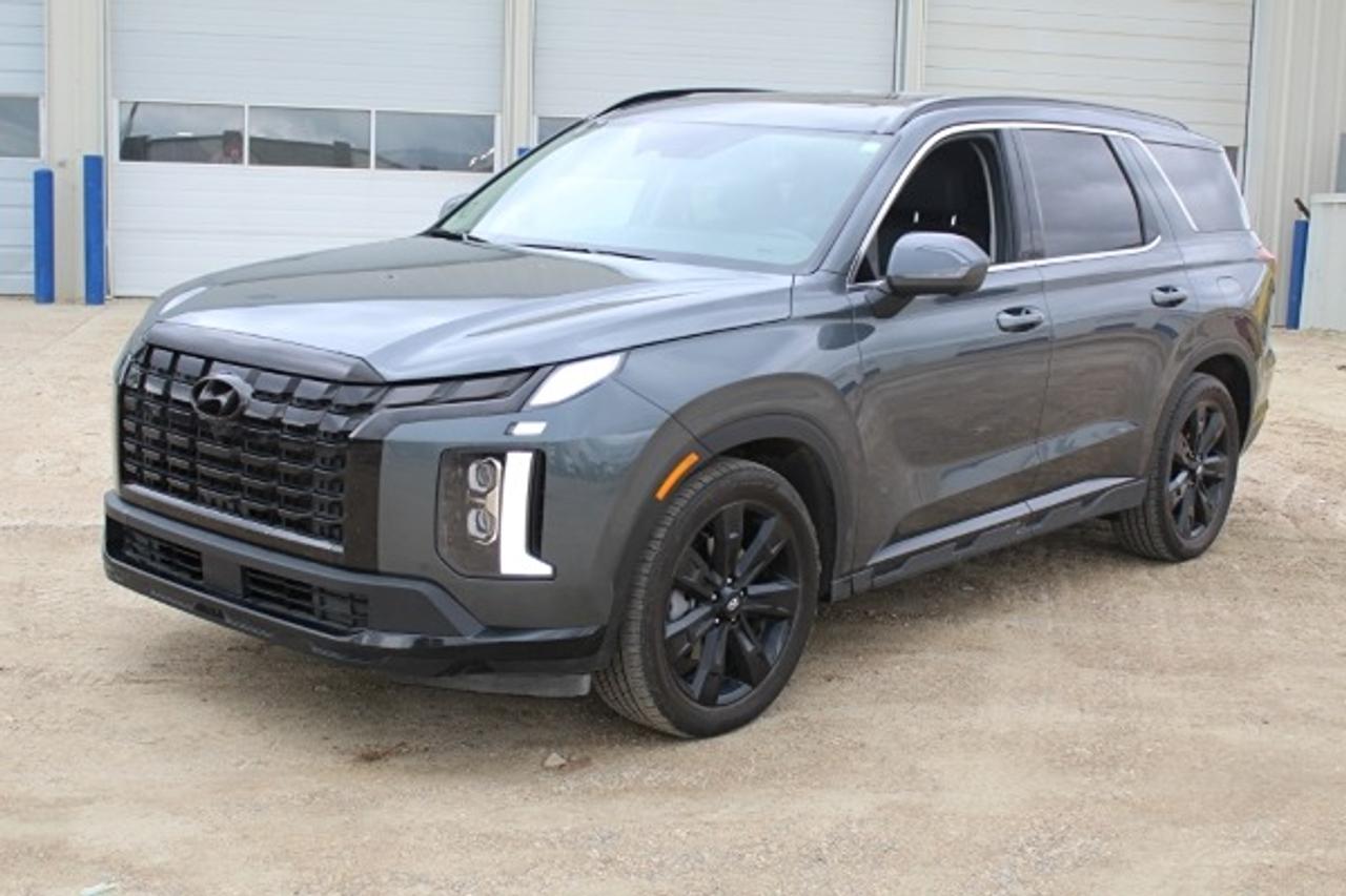 2025 Hyundai PALISADE Preferred H-Trac w/H&C Leather, S/R, NAV, BUC - Photo #1