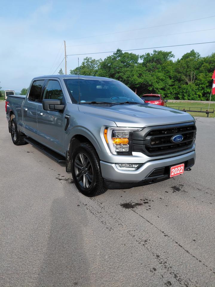 2022 Ford F-150 XLT Photo