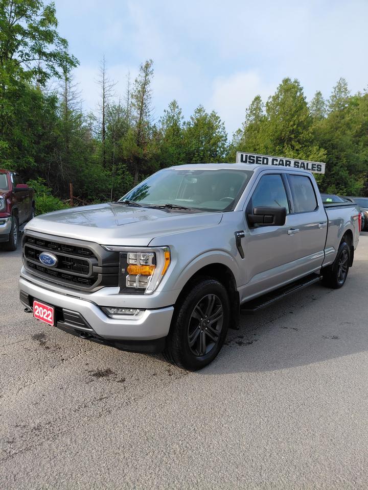2022 Ford F-150 XLT Photo