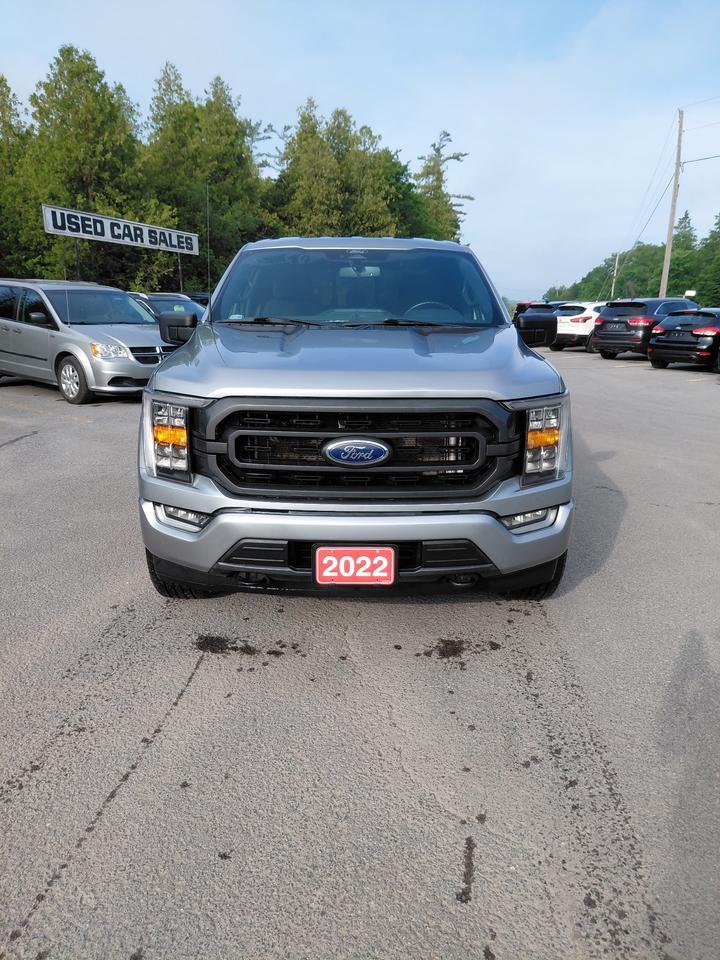 2022 Ford F-150 XLT Photo