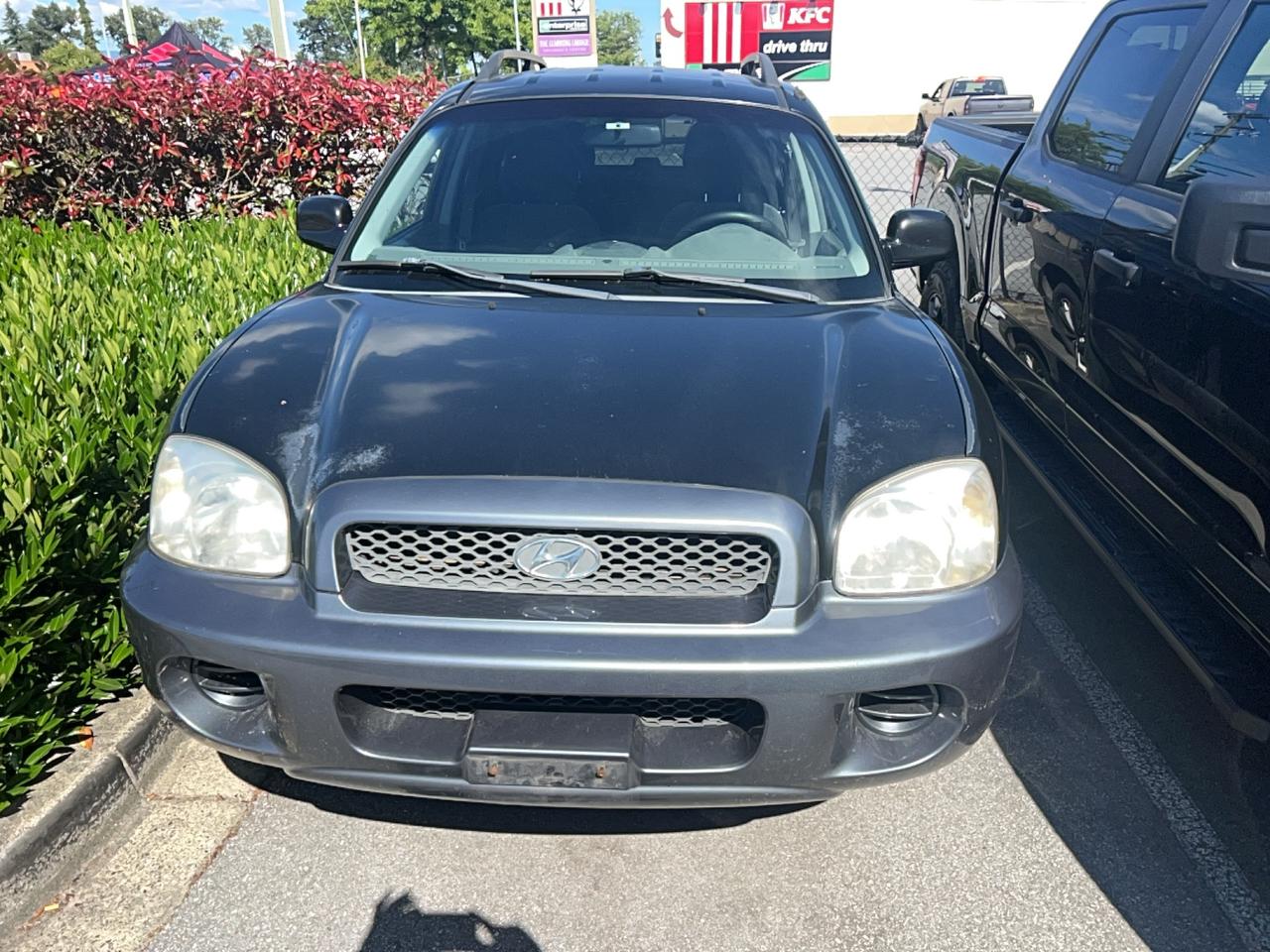 2004 Hyundai Santa Fe 