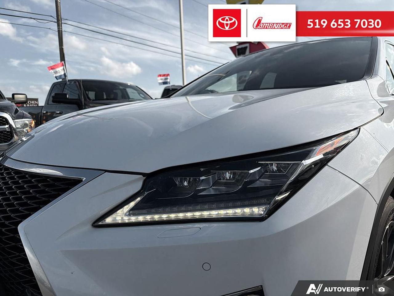 2017 Lexus RX 350  Photo
