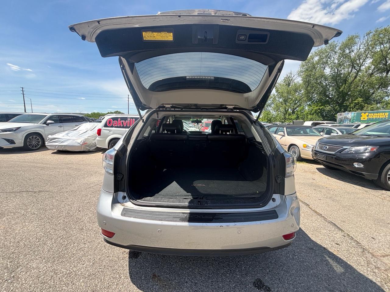 2010 Lexus RX 350 Navigation, DVD, AWD Photo