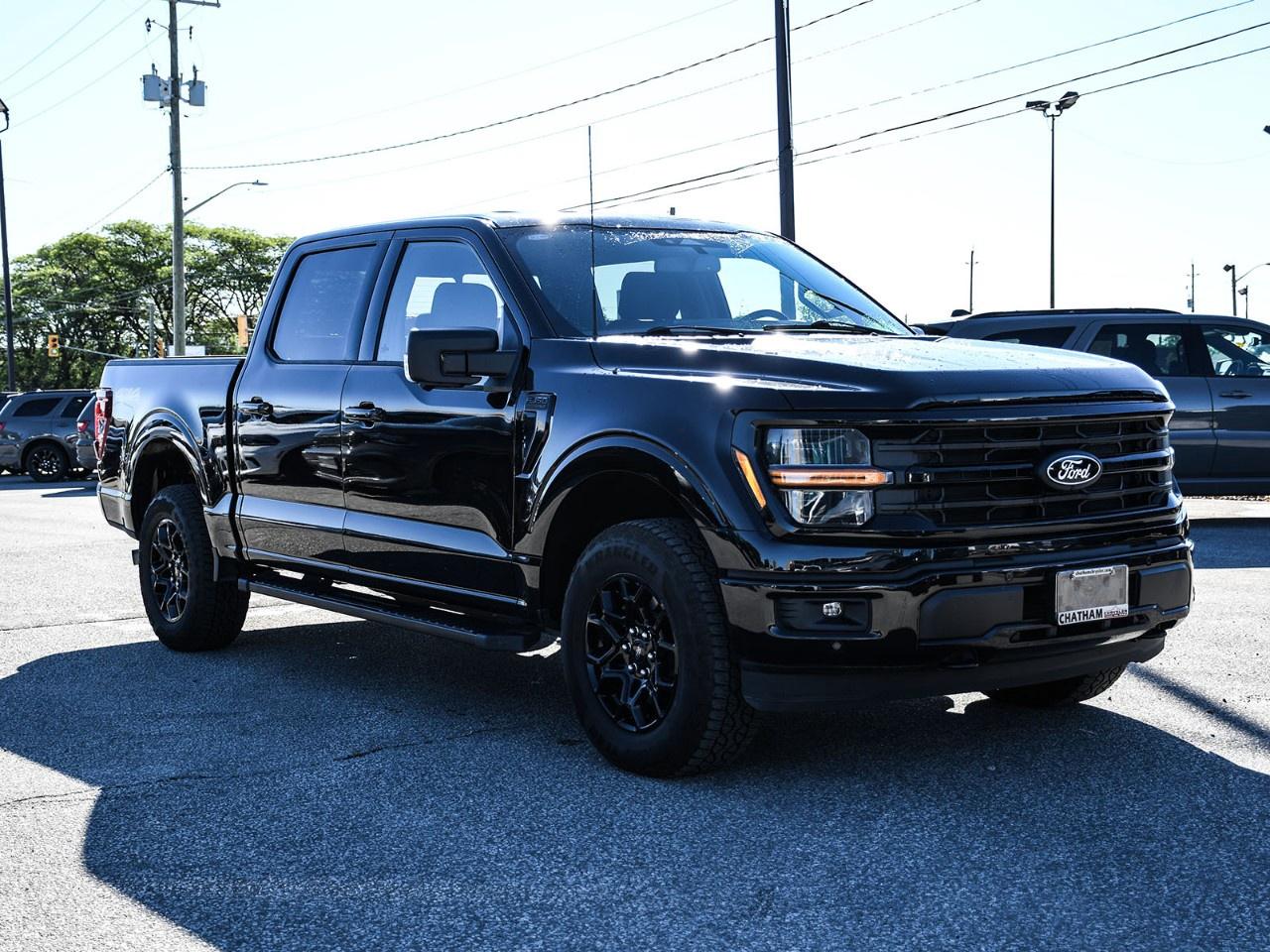 2024 Ford F-150 XLT 4WD SuperCrew 5.5' Box Photo