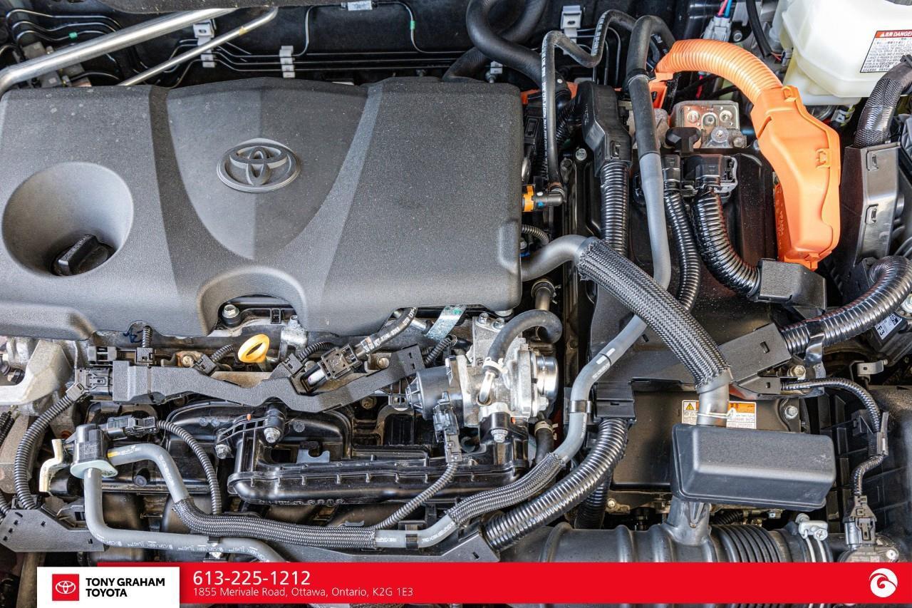2024 Toyota RAV4 Hybrid XLE Photo