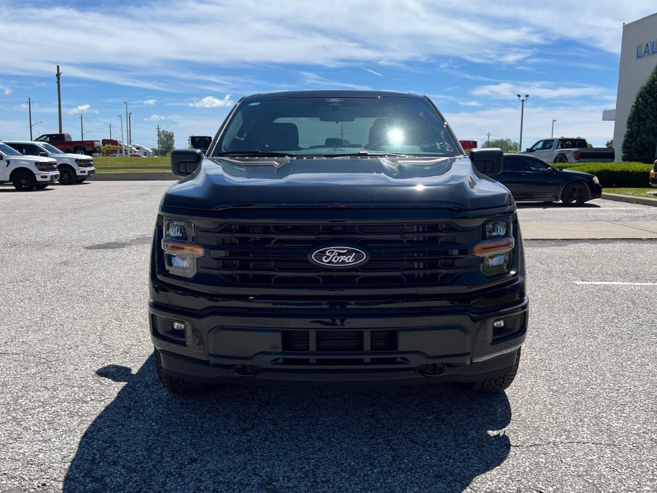 2026 Ford F-150 XLT Photo