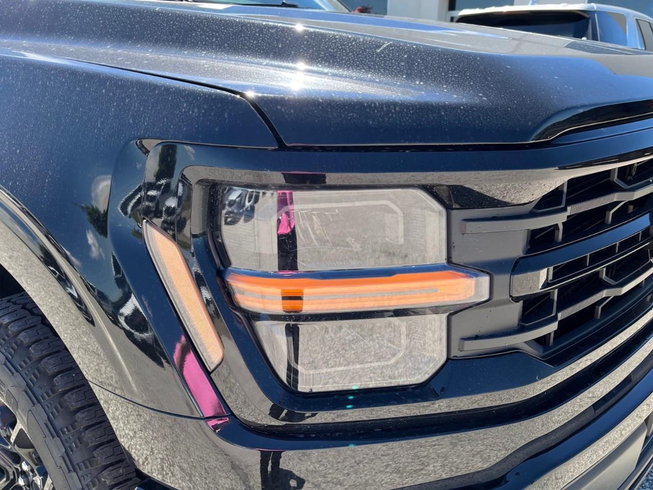 2026 Ford F-150 XLT Photo
