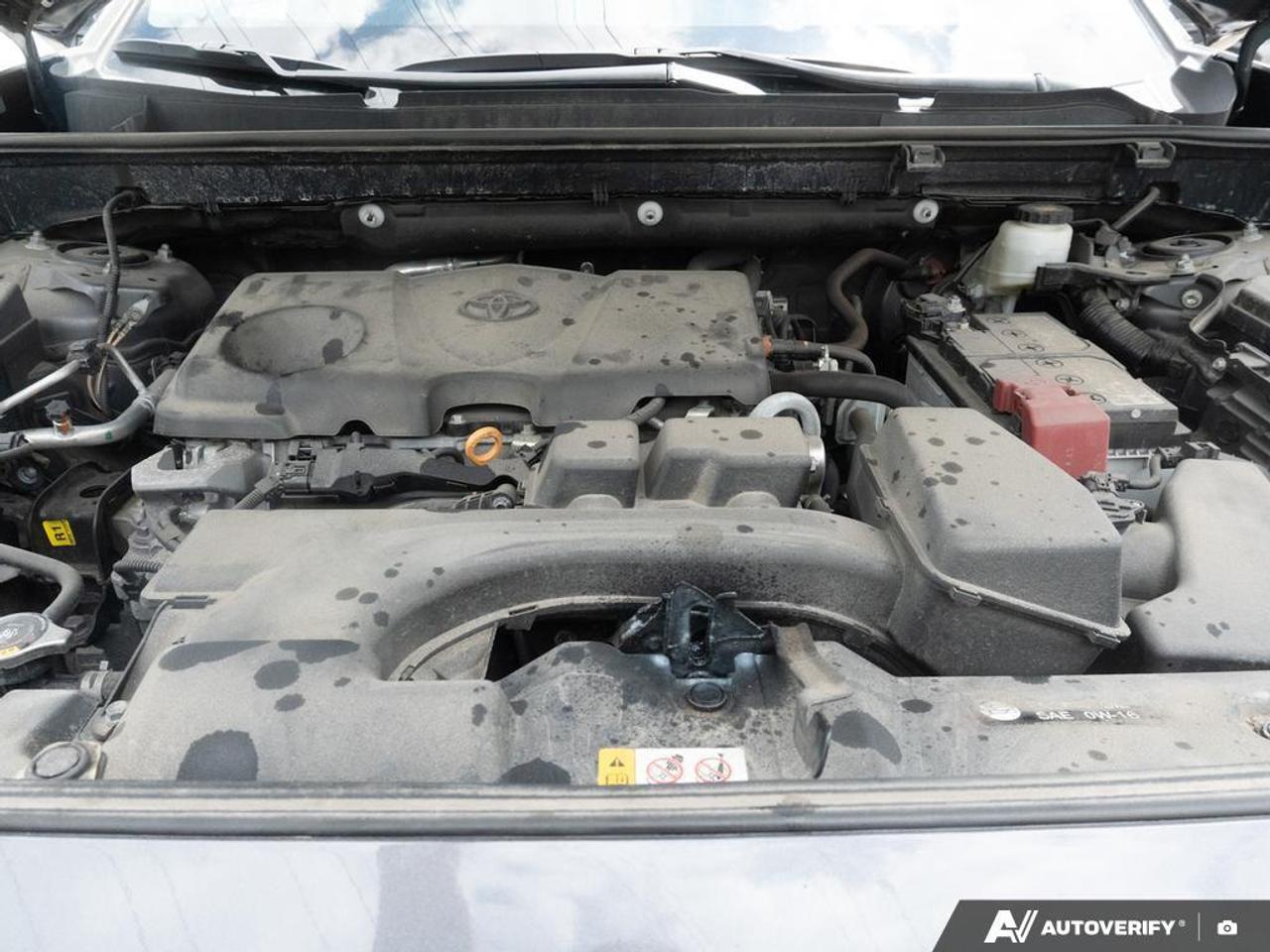 2022 Toyota RAV4  Photo