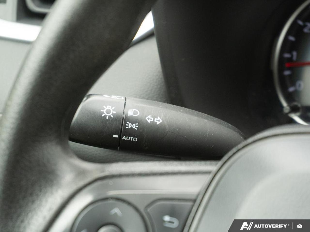 2022 Toyota RAV4  Photo