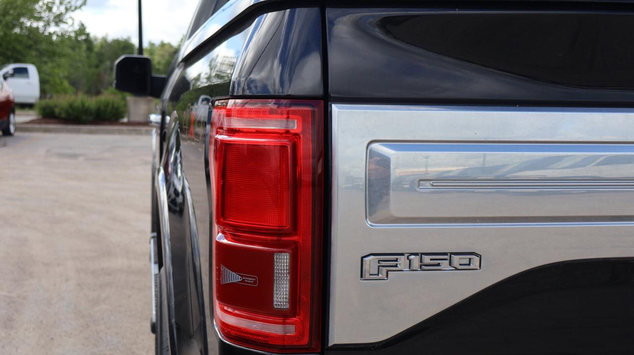 2015 Ford F-150 | | Work & Adventure | Photo