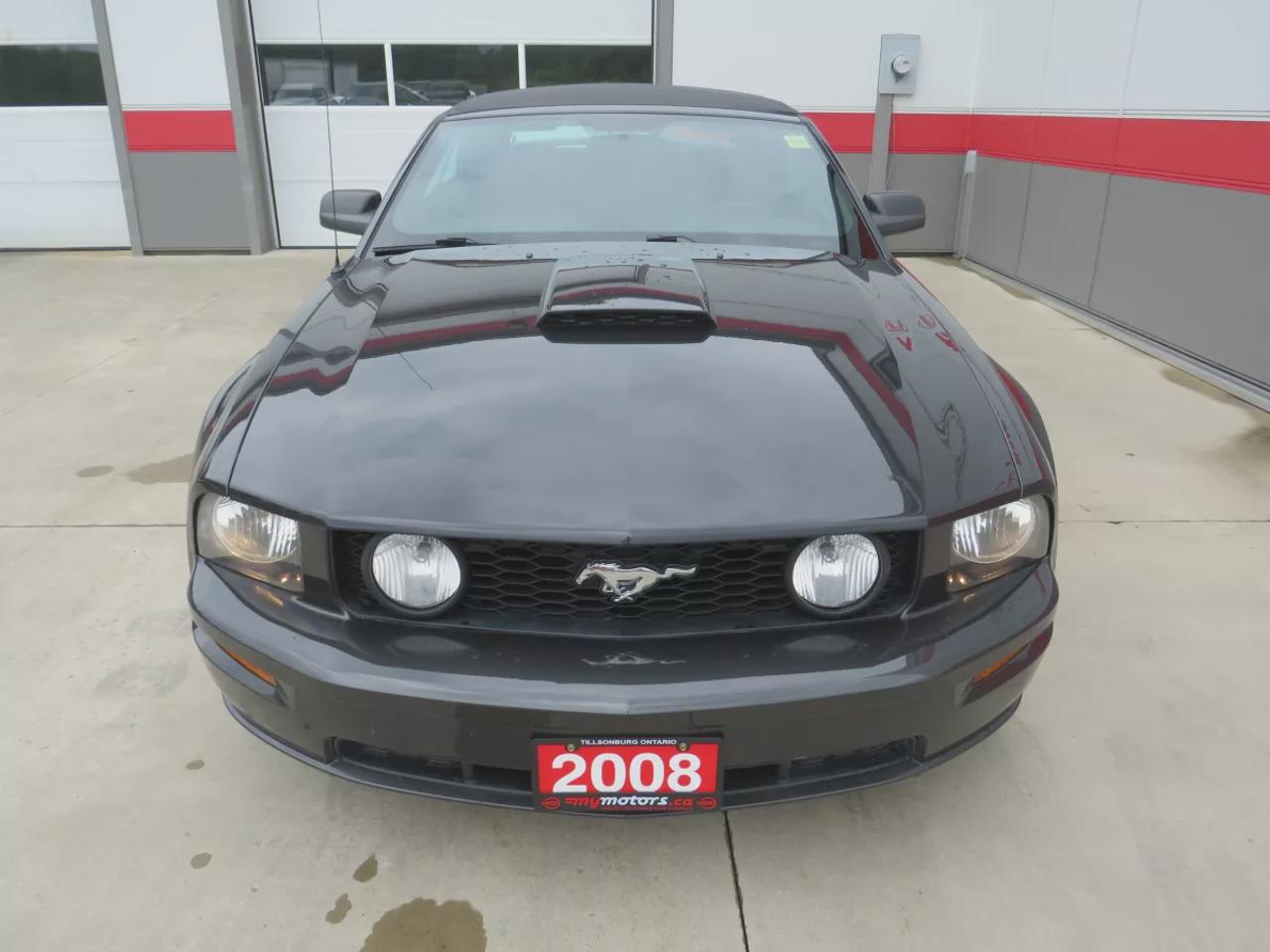 2008 Ford Mustang GT Photo