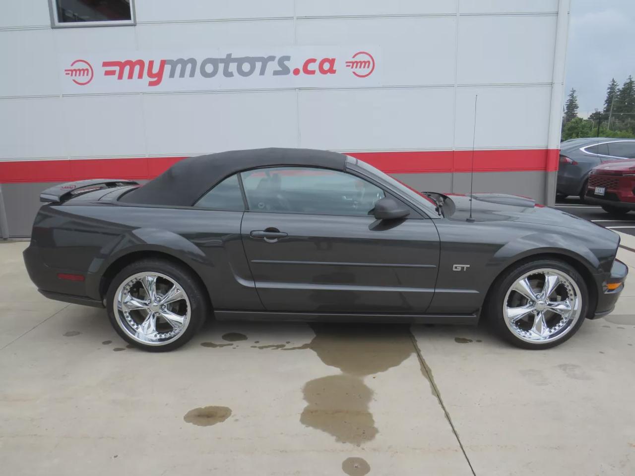 2008 Ford Mustang GT Photo