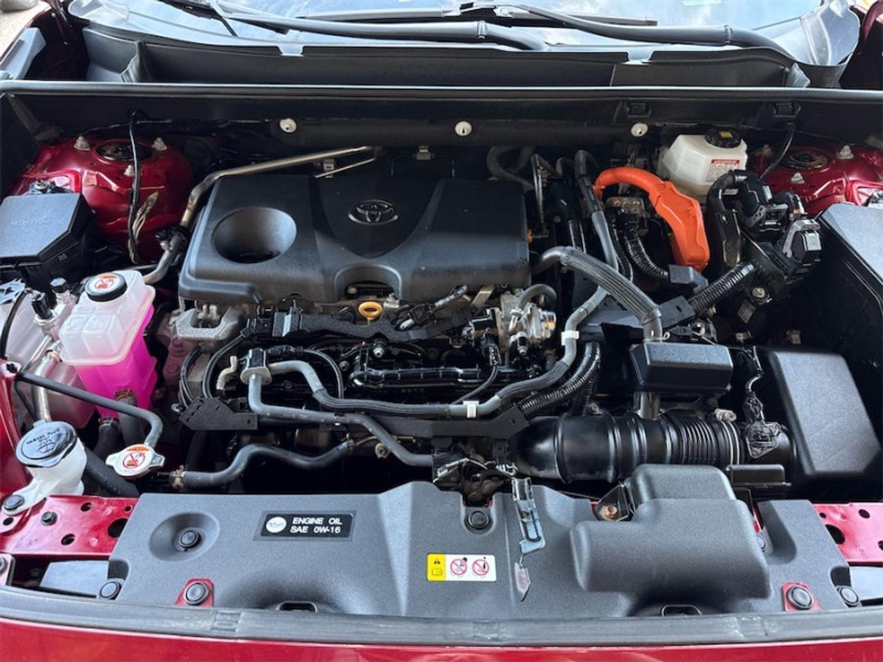 2022 Toyota RAV4 Hybrid XLE  Sunroof - $275 B/W Photo