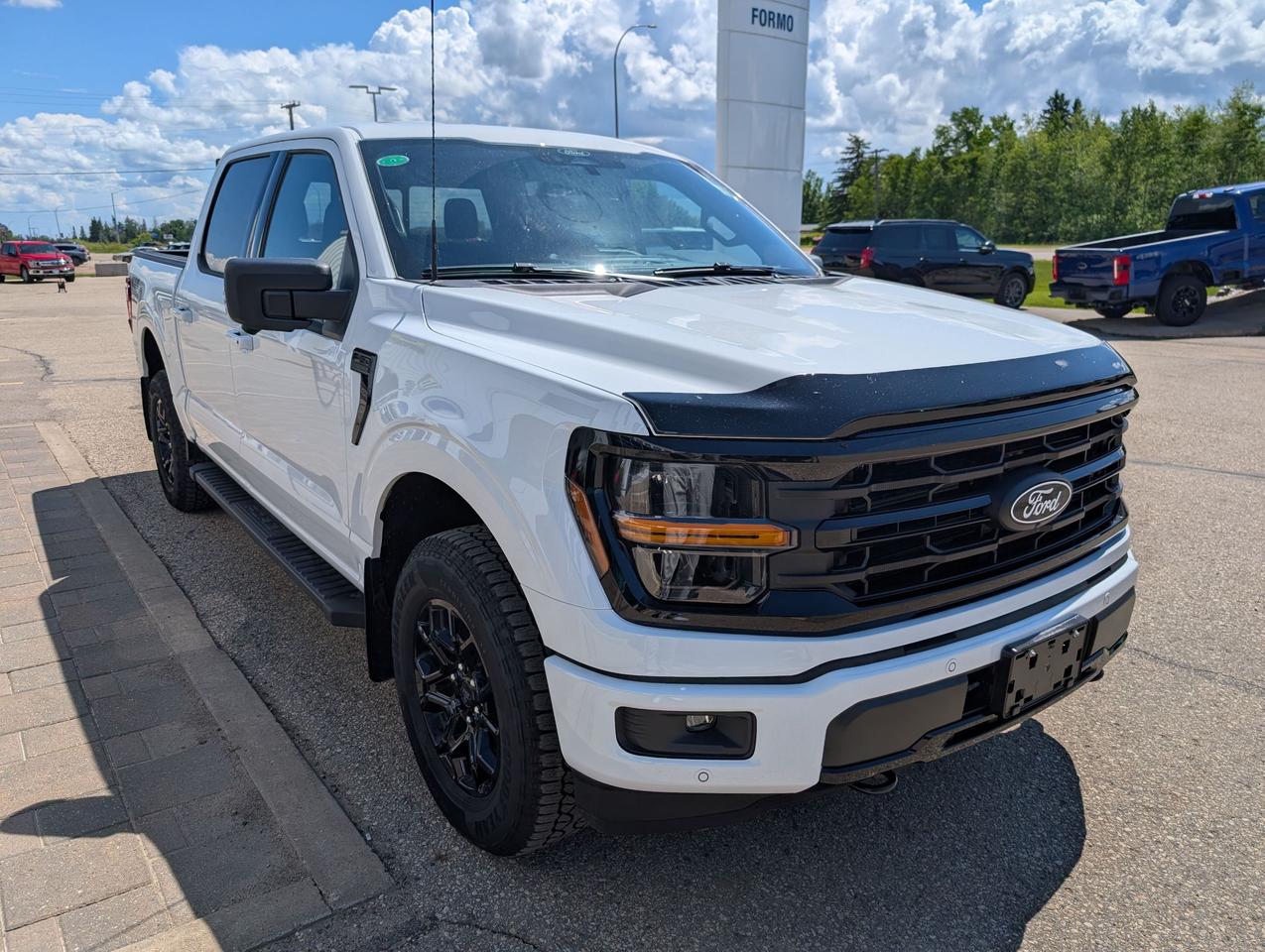 2026 Ford F-150 XLT Photo3