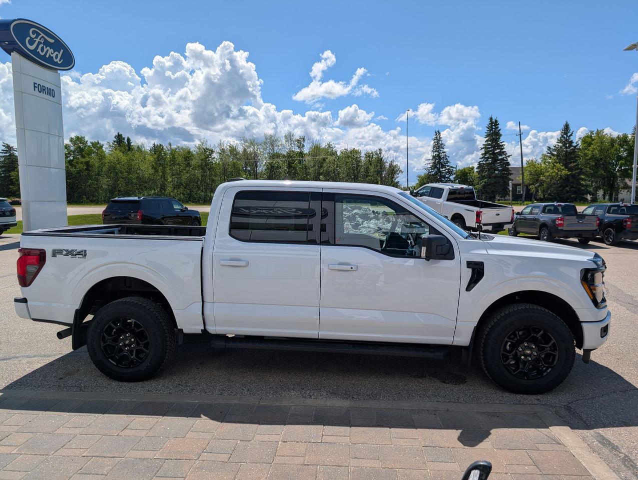 2026 Ford F-150 XLT Photo4