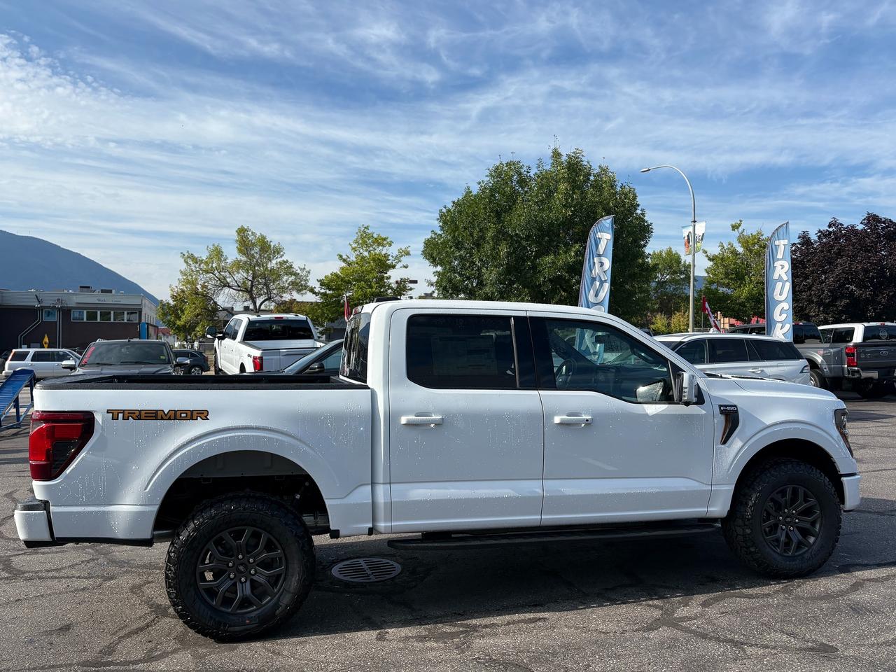 2026 Ford F-150 Tremor Photo4