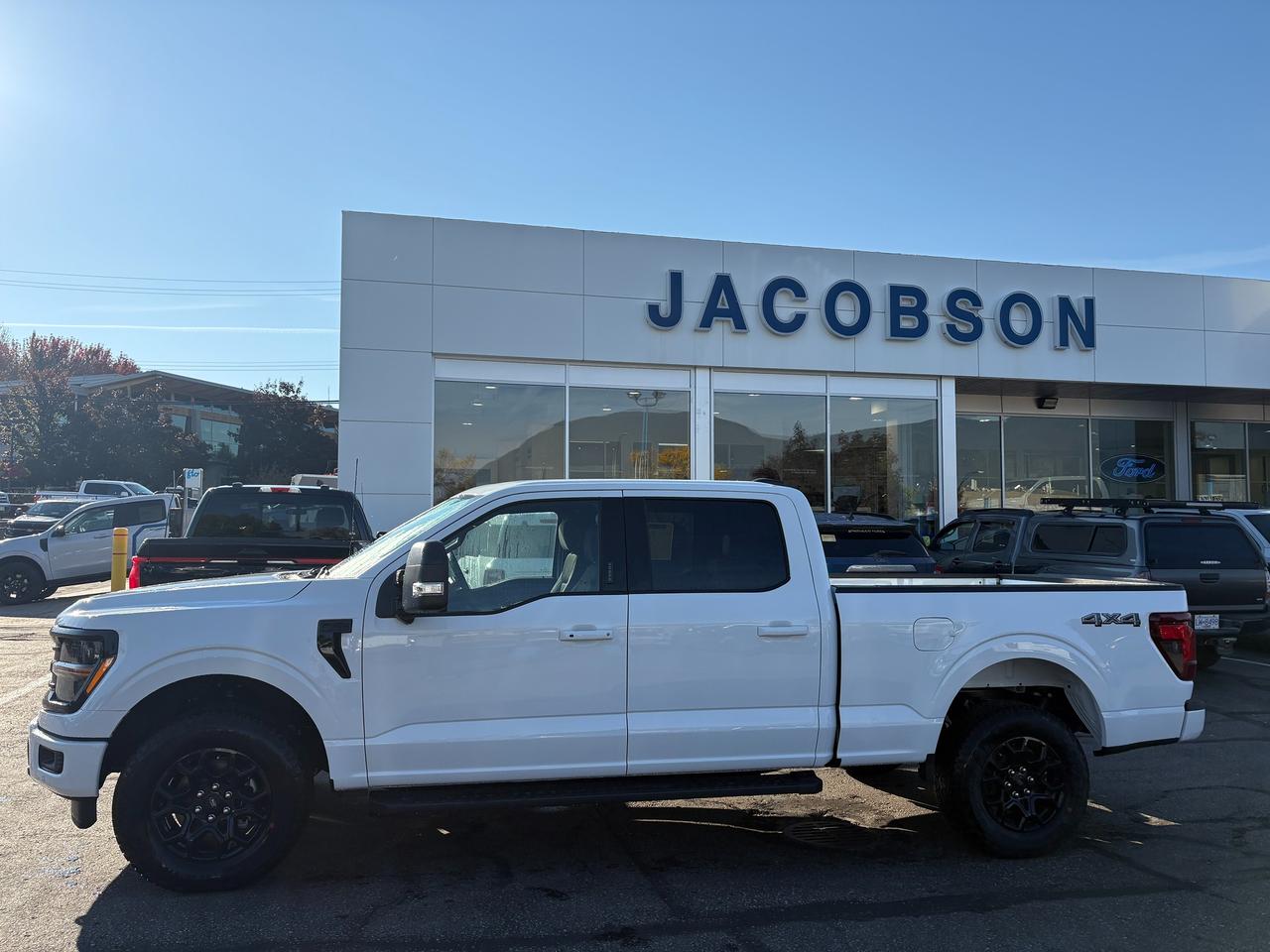 2026 Ford F-150 XLT Photo1