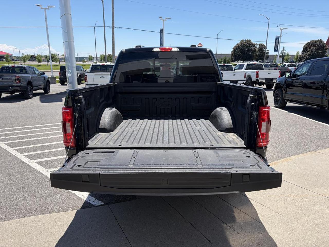 2023 Ford F-150 XLT Photo
