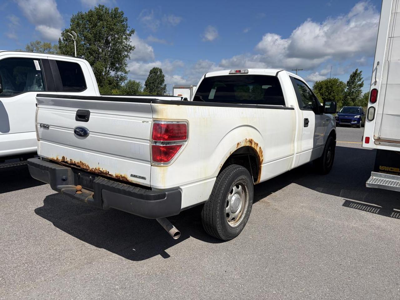 2014 Ford F-150 F150 Photo
