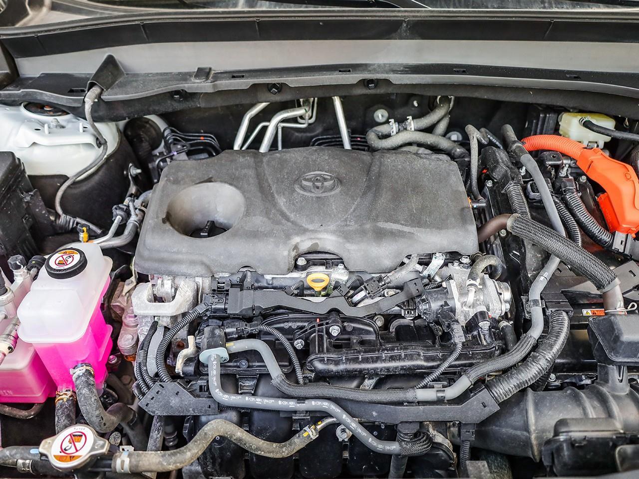 14260256