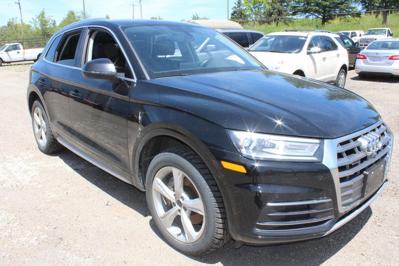 2019 Audi Q5 PROGRESSIV Photo