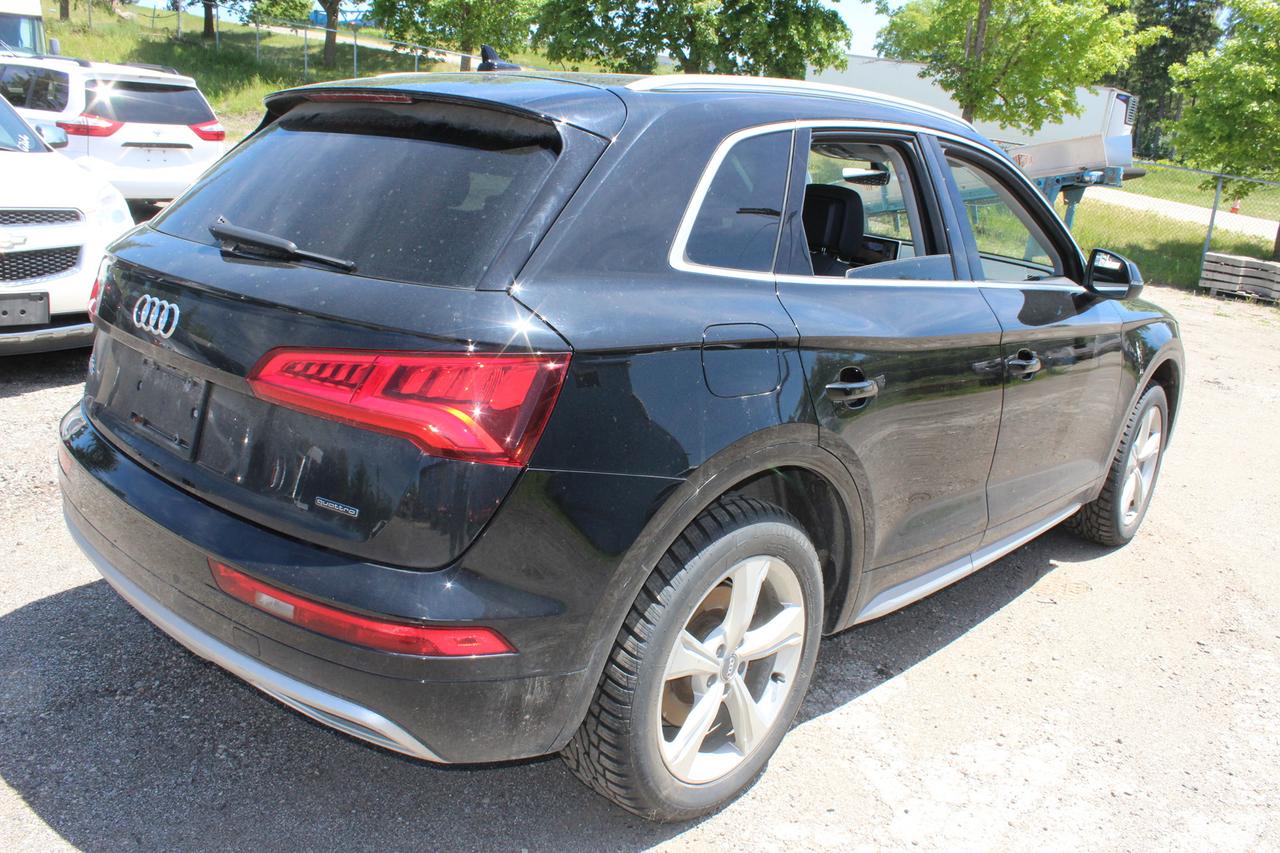 2019 Audi Q5 PROGRESSIV Photo