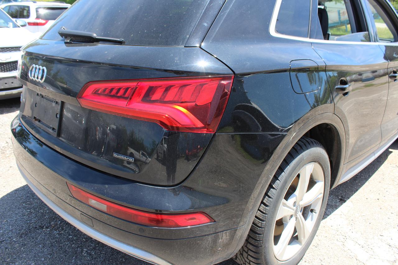 2019 Audi Q5 PROGRESSIV Photo