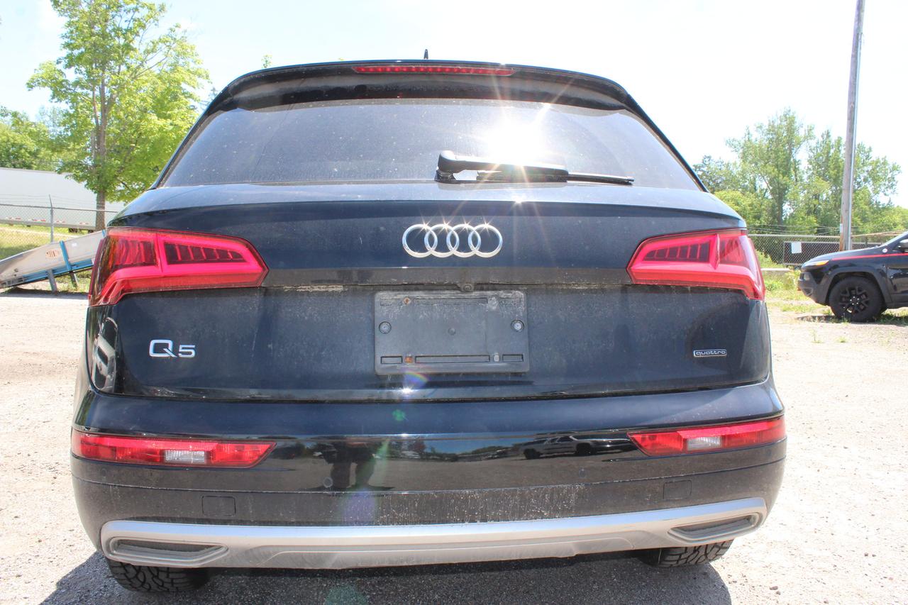2019 Audi Q5 PROGRESSIV Photo