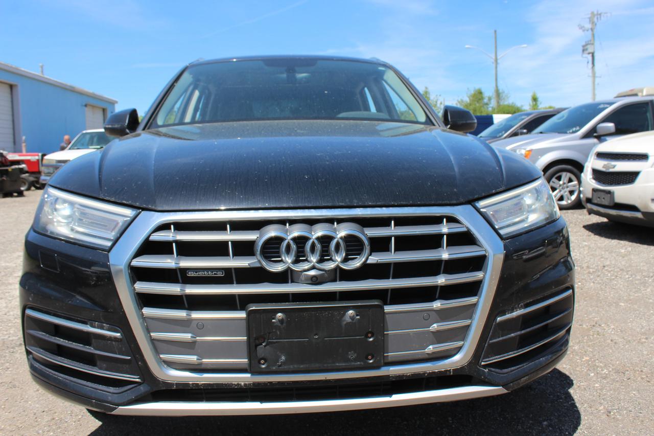 2019 Audi Q5 PROGRESSIV Photo