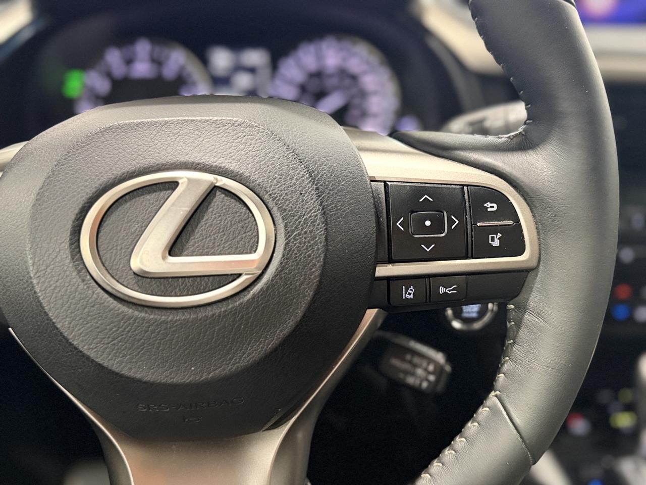 2019 Lexus RX 350 PREMIUM Photo