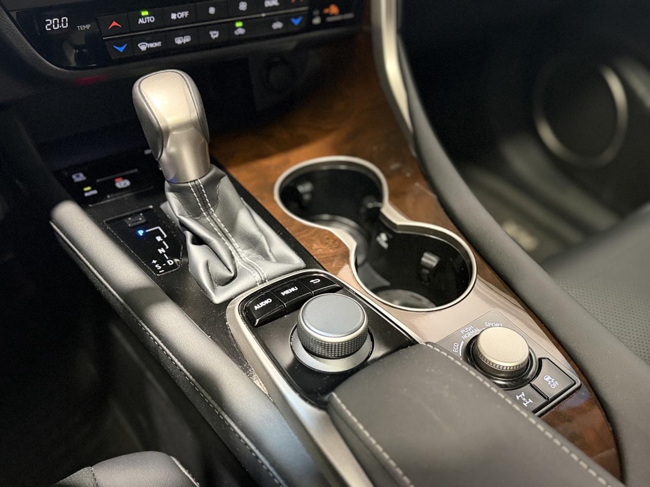 2019 Lexus RX 350 PREMIUM Photo